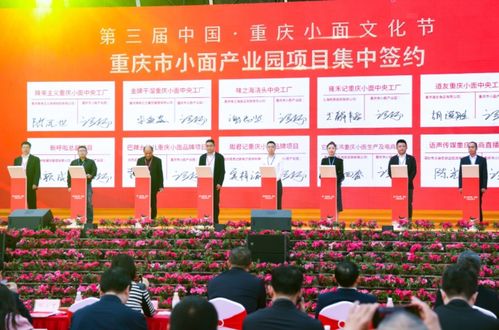 向新而行促消费，一季一节塑品牌——重庆大渡口区常态化促销活动策划服务解析